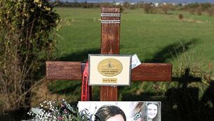 Defence agreement could see British ships 'responding to issue' in Irish waters - McEntee