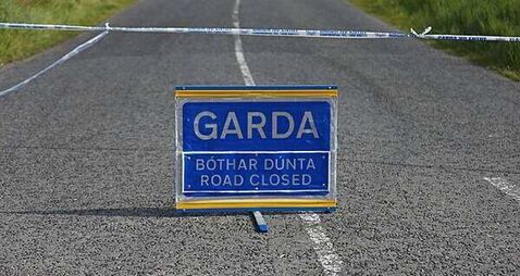 Man (80s) dies from injuries after being hit by a bus in Co Wicklow