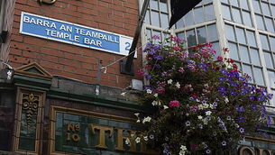 Record breakers: Wexford Fleadh Cheoil breaks Guinness World Record with 2,516 tin whistle players