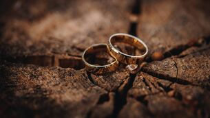 <p>Wedding rings on a wooden surface.</p>