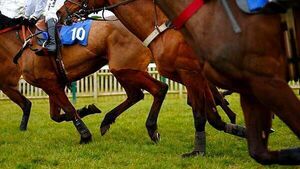 Cork racing tipster seeks injunction over allegedly defamatory online publicaitons