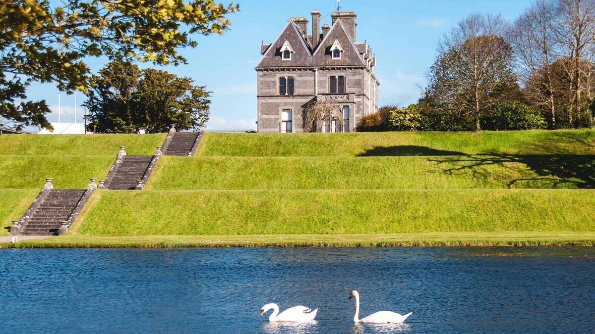 Lots for the family at National Museum in Turlough