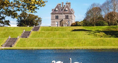 Lots for the family at National Museum in Turlough