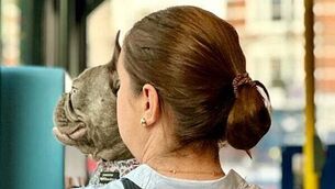 Man in 'complicated relationship' with married woman who he bit on buttocks is jailed Man in 'complicated relationship' with married woman who he bit on buttocks is jailed