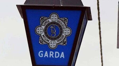Man (40s) arrested in connection with fatal crash in Co Dublin last year