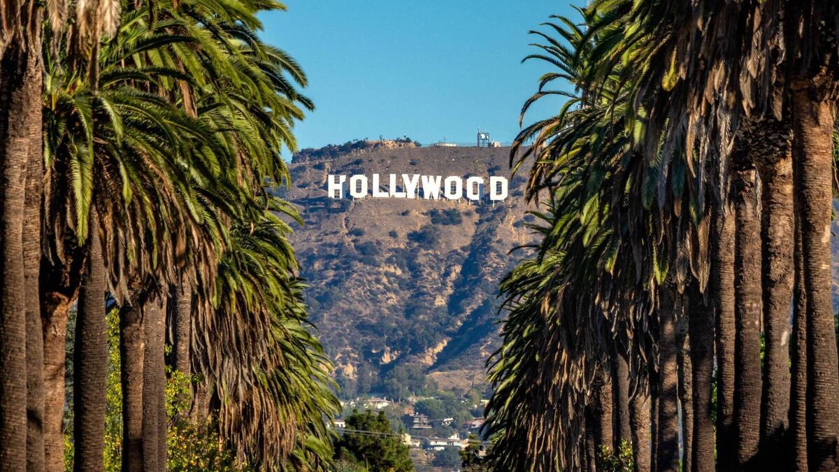 Taking an expedition to sunny California