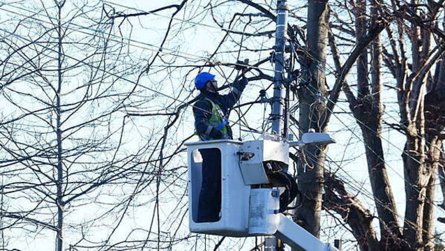 ESB profits down by 10% due to impact of Storm Éowyn