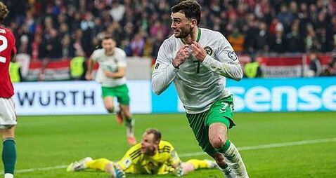 Quiz: Ireland's history in the World Cup