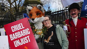 MEP Maria Walsh to vote against  EU ‘return hubs’ over fears of 'outsourcing migration'