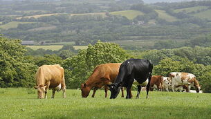 What the papers say: Friday's front pages What the papers say: Friday's front pages