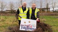Tidy Towns calls for community support for Spring Clean campaign  