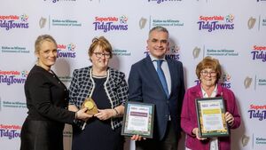 Awards for Mayo Tidy Towns communities