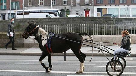 Large protest planned over use of sulkies on national roads following the death of a horse