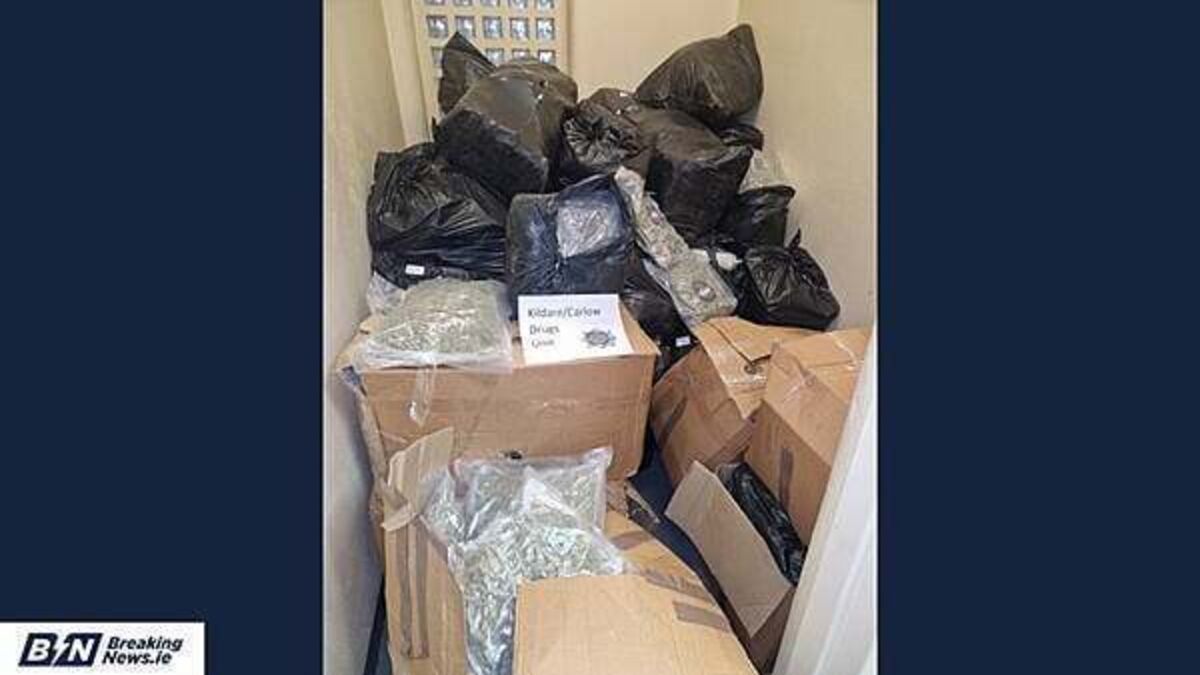 Three men and one woman arrested after cannabis worth €7m seized in Kildare