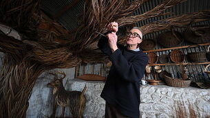 Man due in court after woman seriously injured in Co Tyrone Man due in court after woman seriously injured in Co Tyrone