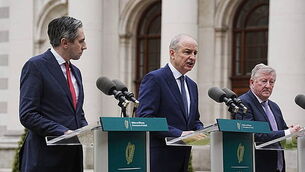 Man who caused over €175,000 in damage playing 'dodgems' with bin lorries avoids jail