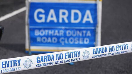 Two men (30s) airlifted to hospital after Longford crash