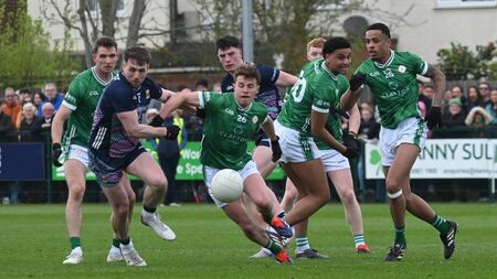 Refreshing freedom to how Mayo are playing