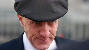 Country's largest broccoli producer and Kildare farmers oppose €168m solar farm