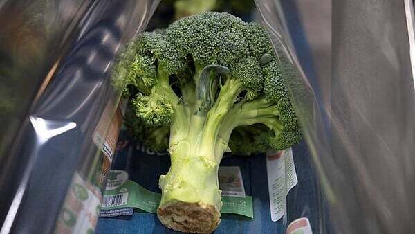 Country's largest broccoli producer and Kildare farmers oppose €168m solar farm