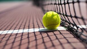 <p>Tennis ball lying on a court. </p>