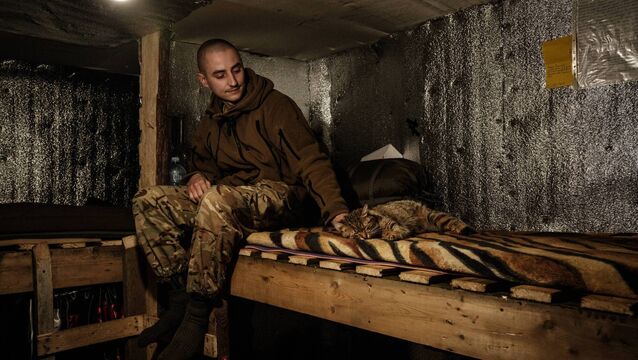 We learn a lot from how we treat animals