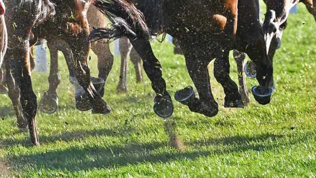 Decision made on Ballinrobe Races following inspection