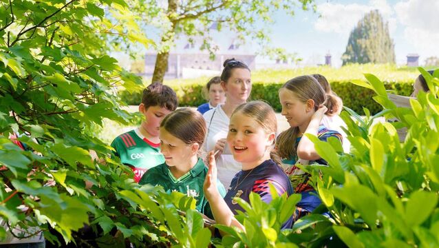 <p>The free workshops and tours for schools will take place during April, May and June. </p>