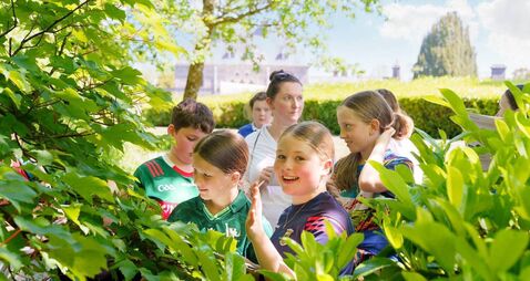 National Museum offers free school workshops