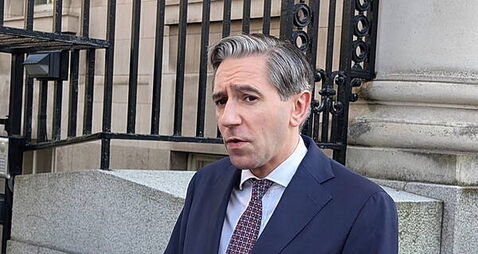 TD who gave reference to sex offender should come forward, say party leaders