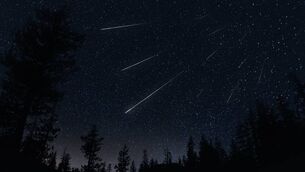 <p>"If you missed it last night, don't give up because this meteor shower continues for several days."</p>