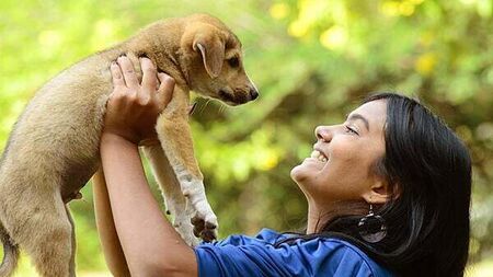 Pet owners turning to cameras and trackers as fear of dog theft grows