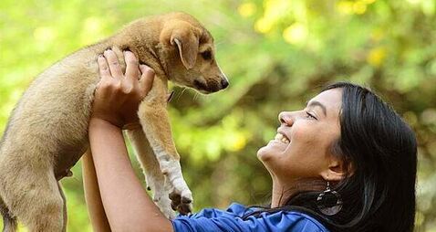 Pet owners turning to cameras and trackers as fear of dog theft grows