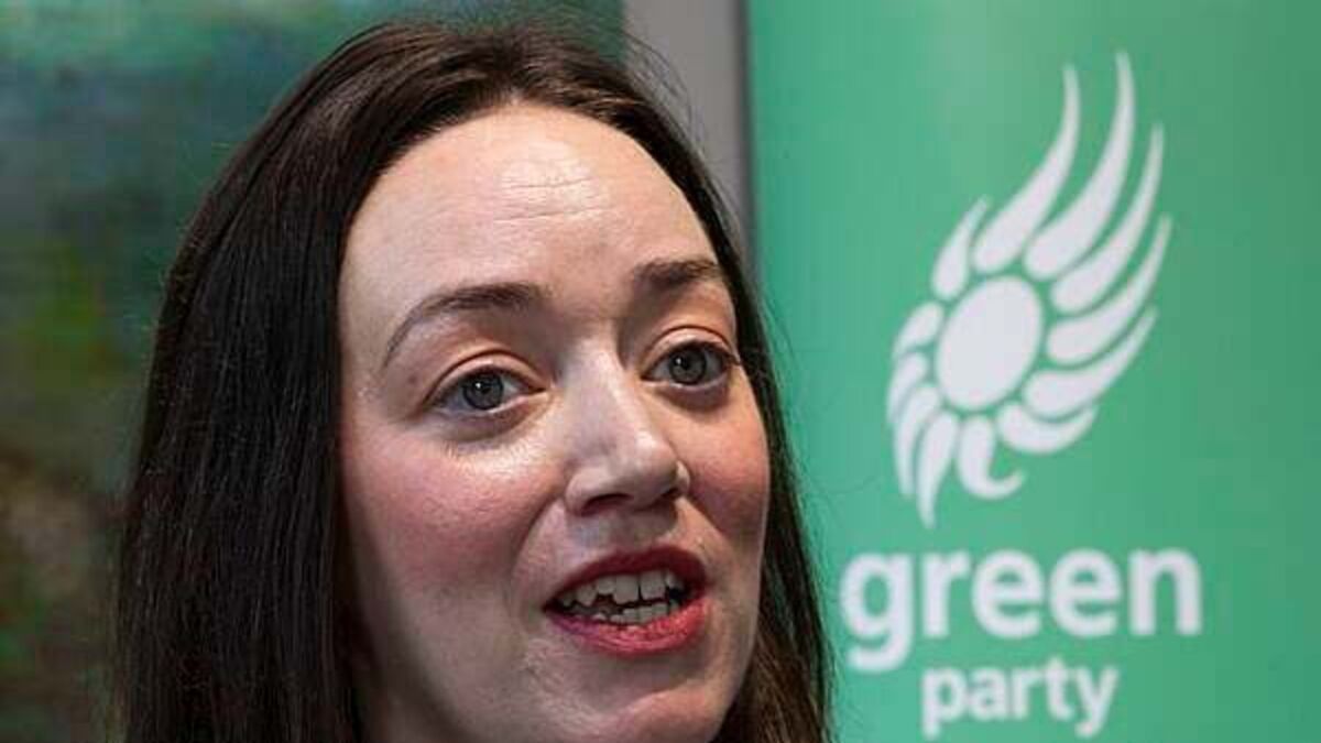 More should be done to tackle dereliction in Dublin, councillor says