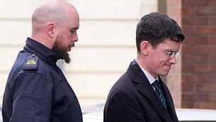 Dublin man (25) pleads guilty to assaulting Somali man near GPO after immigration demo