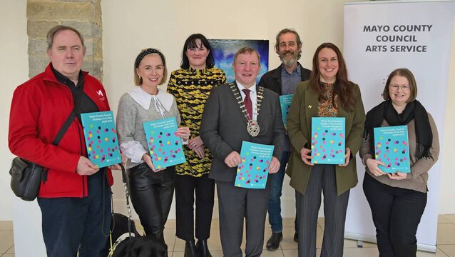 Council adopts new Strategic Arts Plan