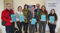 Council adopts new Strategic Arts Plan