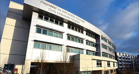 Gardaí renew appeal after teenager dies following fall from moving vehicle in Co Cork