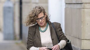 MEP calls for Government to join Polish court in challenging Mercosur deal