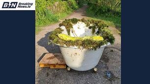 Girl (6) killed cycling in Galway is named as school pays tribute