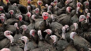 Teen dies in Co Donegal collision