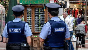 Man arrested after €643k of drugs seized in Co Limerick