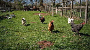 Gerry Adams awaits ruling in High Court fight with bomb victims