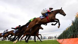 <p>Western Fold, winner of the 2025 McHale Mayo National for trainer Gordon Elliot and jockey Danny Gilligan. Photo credit - Healy Racing</p>
