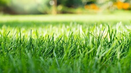 Archers Topline unveils expanded blooming garden deals for the season ahead