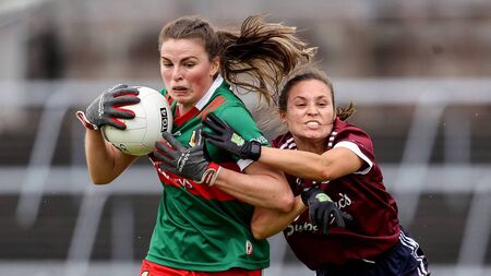 Mayo heavy underdogs for Connacht decider
