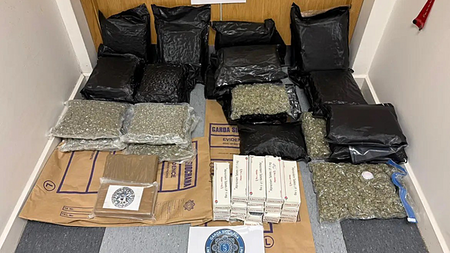 Man charged over €600,000 drugs haul has no legitimate source of income, court told