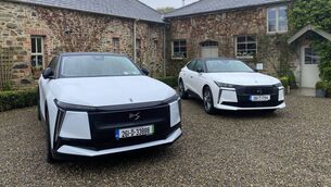 <p>The new DS No 8 flagship (left) and the DS No 4 premium hatchback have arrived in Ireland.</p> <p>The new DS No 8 flagship (left) and the DS No 4 premium hatchback have arrived in Ireland.</p>