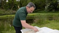 Lots to do at Turlough Museum during May