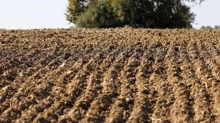 The dreaded chore of picking a field of stones
